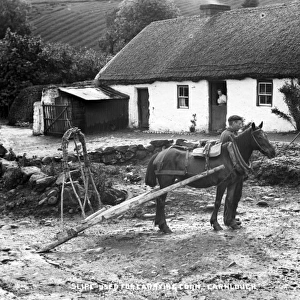 Slipe used for Carrying Corn, Carnlough