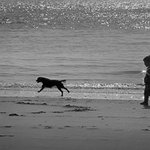 Small boy walks with dog along the tideline - Tenby Beach