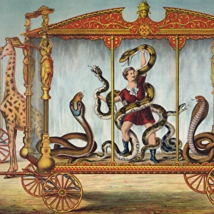 The snake wagon
