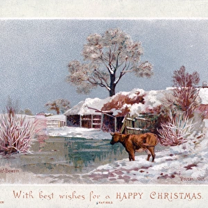 Snow scene with cow and pond on a Christmas card