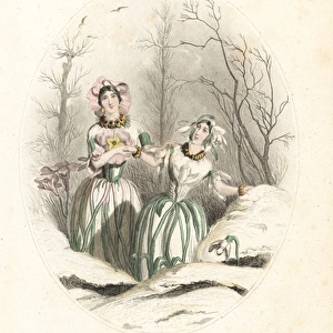 Snowdrop and cowslip flower fairies