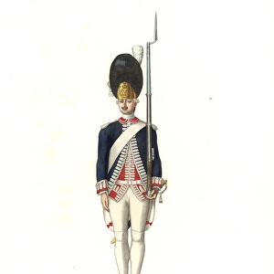 Soldier of the French Guards, 18th century