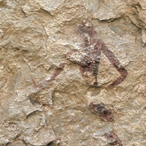 SPAIN. Alpera. Alpera Cave paintings Human