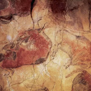 Spain. Cantabria. Cave of Altamira. Bison