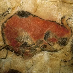 SPAIN. Santillana de Mar. Altamira Caves. Bison