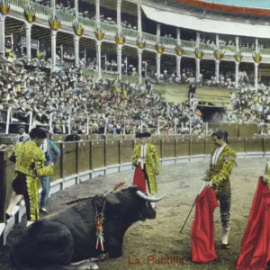 Spanish Bullfighting Series (10 / 12)