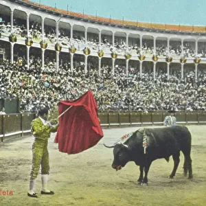 Spanish Bullfighting Series (7 / 12)