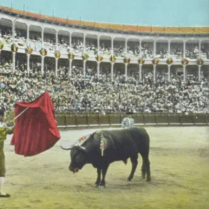 Spanish Bullfighting Series (7 / 12)