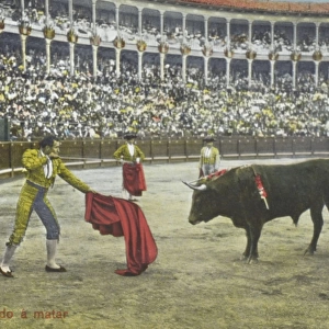 Spanish Bullfighting Series (8 / 12)