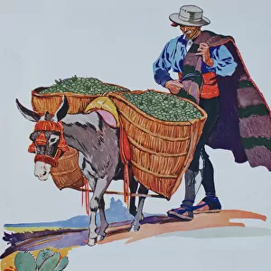 Spanish farmer with burro