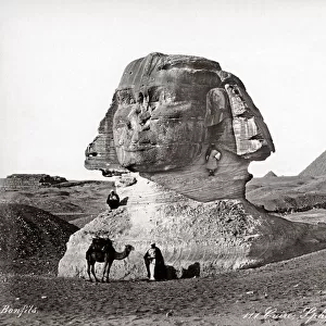 The Sphinx, Egypt, c. 1890 s