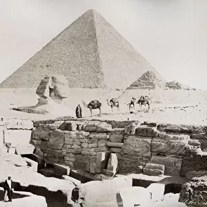 Sphinx and great pyramid, Cairo Egypt