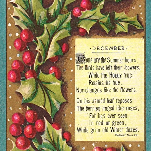 Spray of holly on a Christmas card
