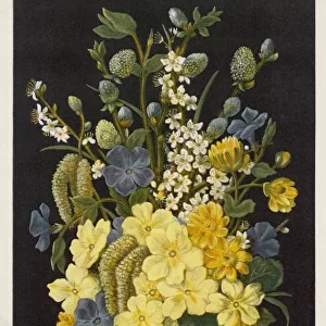Spring Flowers 1880