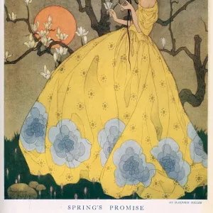 Springs Promise, by Marjorie Miller