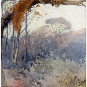 Squirrel in Tree C1917