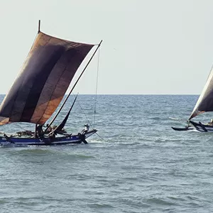 Sri Lankan outrigger boats - 1