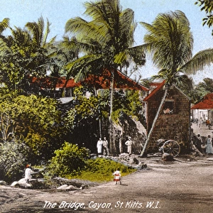 St. Kitts, West Indies - The Bridge, Cayon