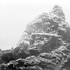 St. Pauls Rock, South Atlantic 1873