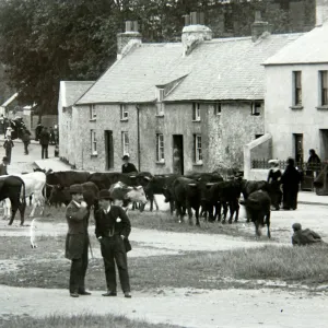 St Thomas Green cattle market, Haverfordwest, South Wales