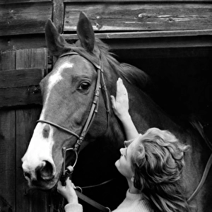 Stable girl with a horse