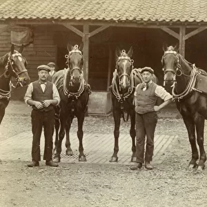 Two stable grooms with four beautiful carriage horses