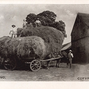 Stacking hay on a horse-drawn cart