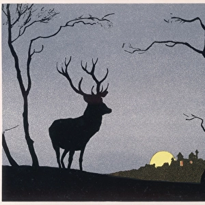 Stag Silhouetted