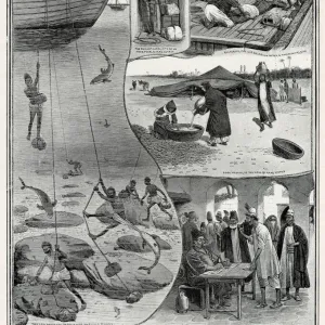 Stages of the pearl fishery industry in the Persian Gulf. Date: 1902