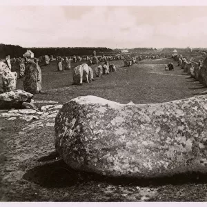 Standing stones at Carnac, Brittany, France
