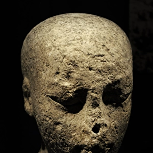 Statue head. Limestone. C. 1390-1352 BC