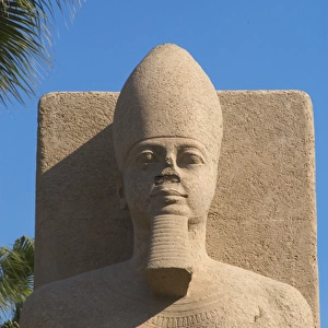 Statue of Pharaoh Ramses II. Detail. Memphis. Egypt