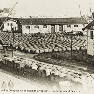 Steamship harbour at Algiers - the wine export section