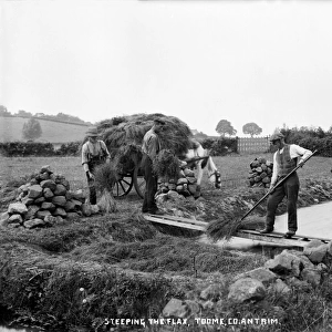 Steeping the Flax, Toome, Co. Antrim