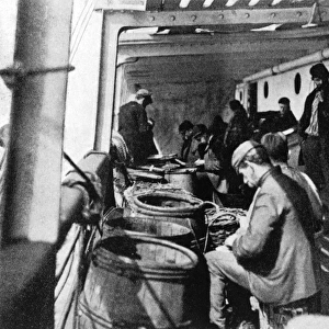 Steerage passengers, working ones way out