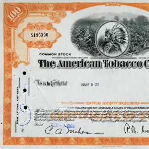 Stock Share Certificate - The American Tobacco Company