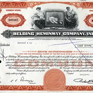 Stock Share Certificate - Belding Hemingway Company Inc