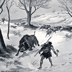 Stone Age Man hunting bison