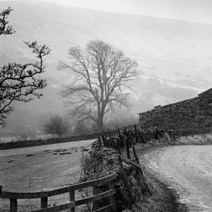 A stone barn on a farm down a country lane in Coverdale