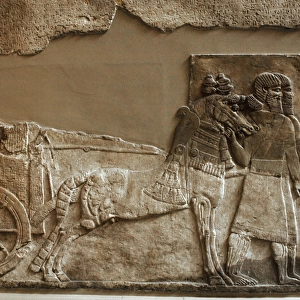 Stone panel. Palace of Tiglath-pileser III. Nimrud. Iraq. Ne