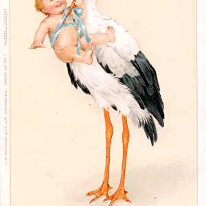 Stork with baby in blue ribbons on a greetings postcard