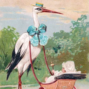 Stork with baby in pram on a greetings postcard