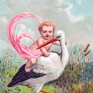 Stork with baby riding on its back on a greetings postcard