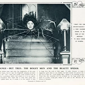 Strange - But True - The Bogey Men and the Beauty Spider