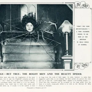 Strange - But True - The Bogey Men and the Beauty Spider