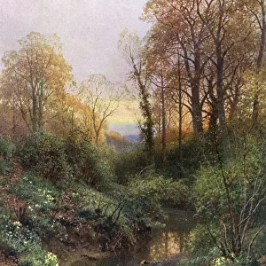 Stream at Leith Hill