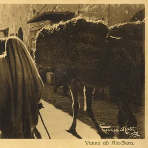 Street scene in Ain Zara, Tripoli, Libya