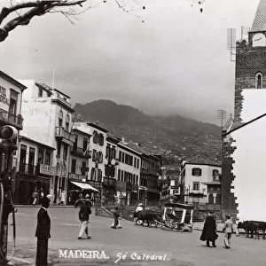 Street scene with Cathedral, Funchal, Madeira