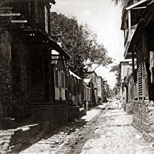 Street scene, Kingston, Jamaica, circa 1900