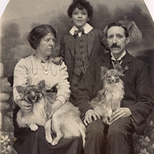 Studio portrait, family of three with two dogs